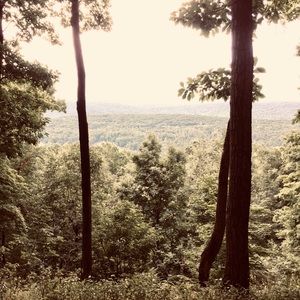 Meet your Posher, Anns